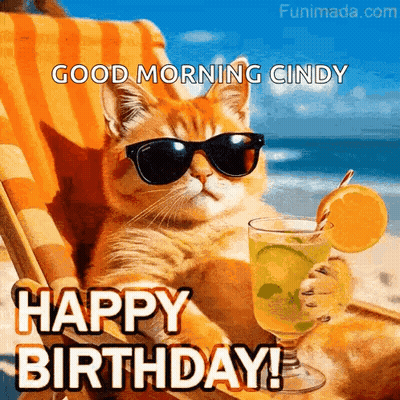 Cat In Sunglasses On Beach Chair With Drink And Orange GIF