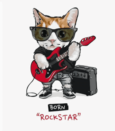Cat In Sunglasses Playing Guitar Born Rockstar GIF
