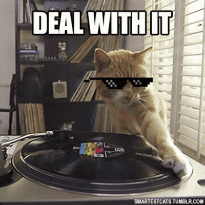 Cat In Sunglasses Playing Record Saying Deal With It GIF