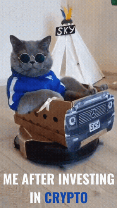 Cat In Sunglasses Sitting In Mercedes Box GIF
