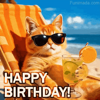 Cat In Sunglasses Sitting On Beach Holding Drink GIF