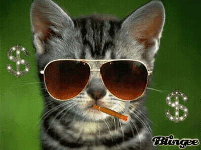 Cat In Sunglasses Smoking Cigarette With Dollar Signs GIF