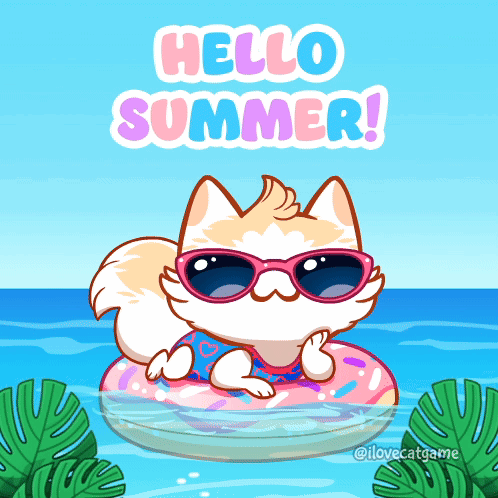 Cat In Sunglasses With Donut Float Hello Summer GIF