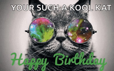 Cat In Sunglasses Your Such A Kool Kat Happy Birthday GIF