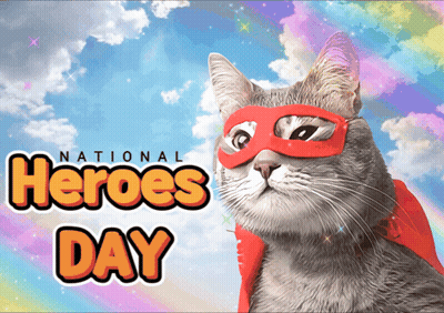 Cat In Superhero Cape And Mask GIF