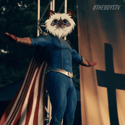 Cat In Superhero Costume In Front Of Banner GIF