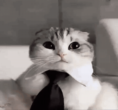 Cat In Tie And White Shirt GIF