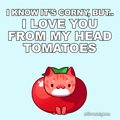 Cat In Tomato Corny Love From Head Tomatoes GIF