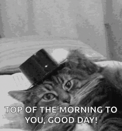Cat In Top Hat Laying On Bed Saying Top Of The Morning Good Day GIF