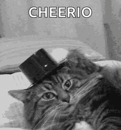Cat In Top Hat Lying On Bed Saying Cheerio GIF