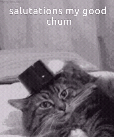 Cat In Top Hat Salutations My Good Chum GIF