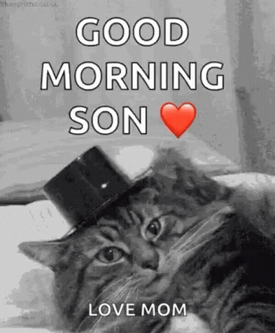 Cat In Top Hat Saying Good Morning GIF
