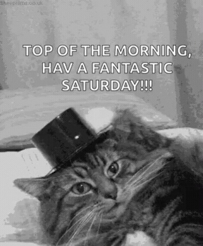 Cat In Top Hat Saying Top Of The Morning GIF