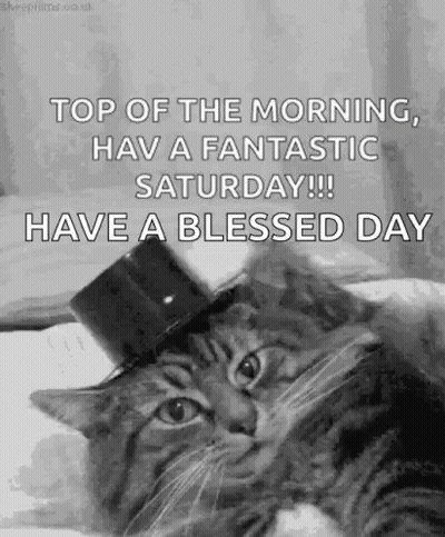 Cat In Top Hat Saying Top Of The Morning GIF