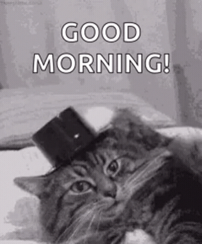 Cat In Top Hat Says Good Morning GIF
