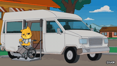 Cat In Wheelchair In Front Of Van GIF