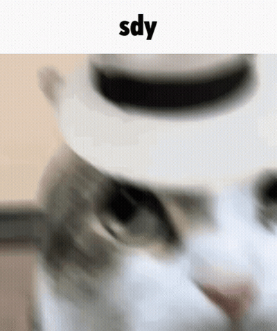 Cat In White Hat GIF
