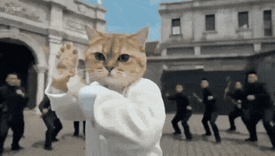 Cat In White Shirt Standing Before Dancing Group GIF