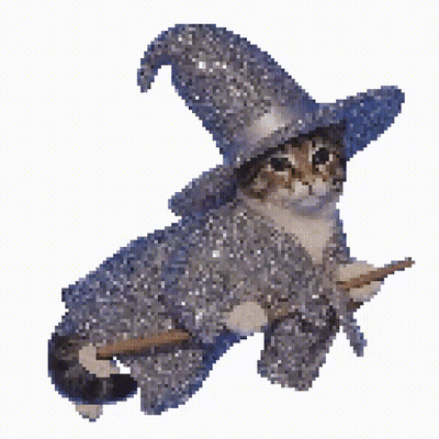 Cat In Witch Costume Holding Broom GIF