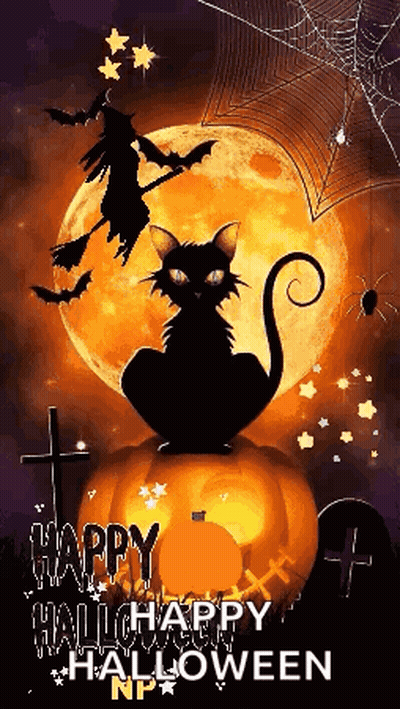 Cat In Witch Hat Saying Why GIF