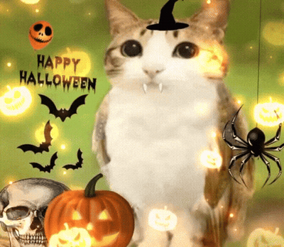 Cat In Witch Hat Surrounded By Pumpkins Bats Spiders Happy Halloween GIF