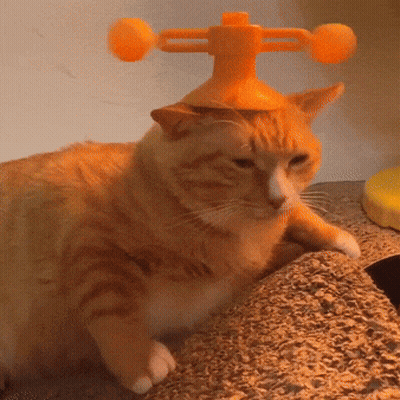 Cat In Yellow Hat With Two Orange Balls GIF