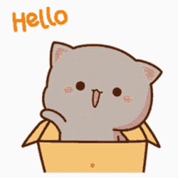 Cat Inside Box Cute Wave GIF