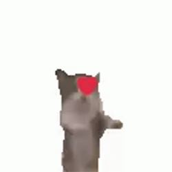 Cat Jumping Heart Meme GIF