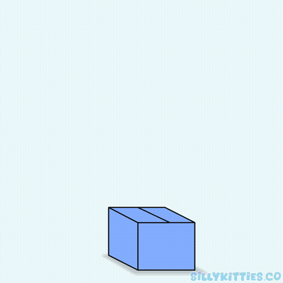 Cat Jumping Out Of Box Saying April Fools GIF