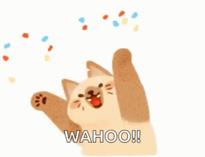 Cat Jumping With Confetti GIF