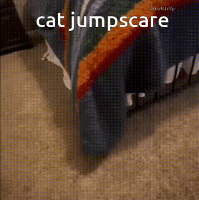 Cat Jumpscare Behind Bed With Rainbow Blanket GIF