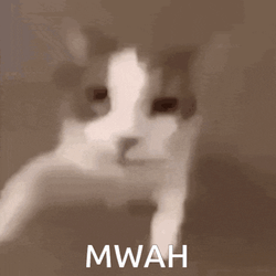 Cat Kiss Cat Meme GIF