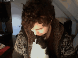 Cat Kiss Forehead GIF