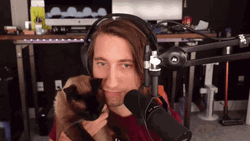 Cat Kiss Gavin Stream GIF