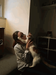 Cat Kiss Hug GIF