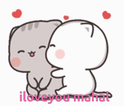 Cat Kisses I Love You Mahal GIF