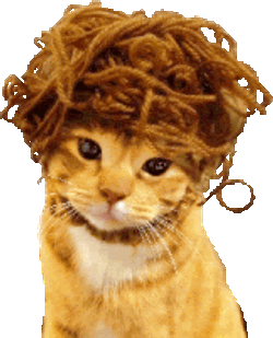 Cat Kitten Sticker GIF