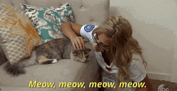 Cat Lady Caressing Pet GIF
