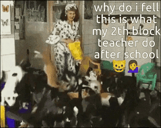 Cat Lady Cat GIF