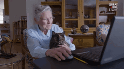 Cat Lady Facing A Laptop With Her Pet GIF