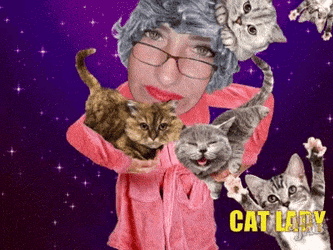 Cat Lady GIF