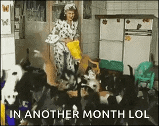 Cat Lady GIF