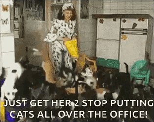 Cat Lady GIF