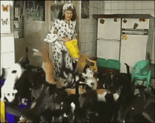 Cat Lady GIF