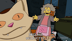 Cat Lady Throwing Her Pets GIF