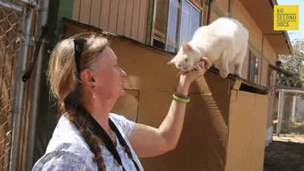 Cat Lady Tickling Pets Chin GIF