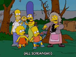 Cat Lady Tossing Pets To The Simpsons Family GIF