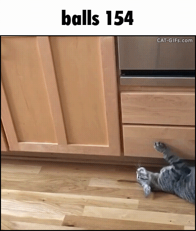 Cat Laying Beside Drawer Saying Balls 154 GIF