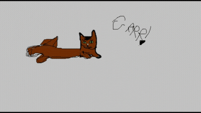 Cat Laying Down Carey