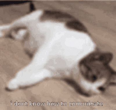 Cat Laying Down Saying I Dont Know How To Communicate GIF